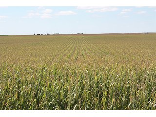 Property photo 48 - LAND AUCTION, 3255+/- Acres offered in 13 Tracts